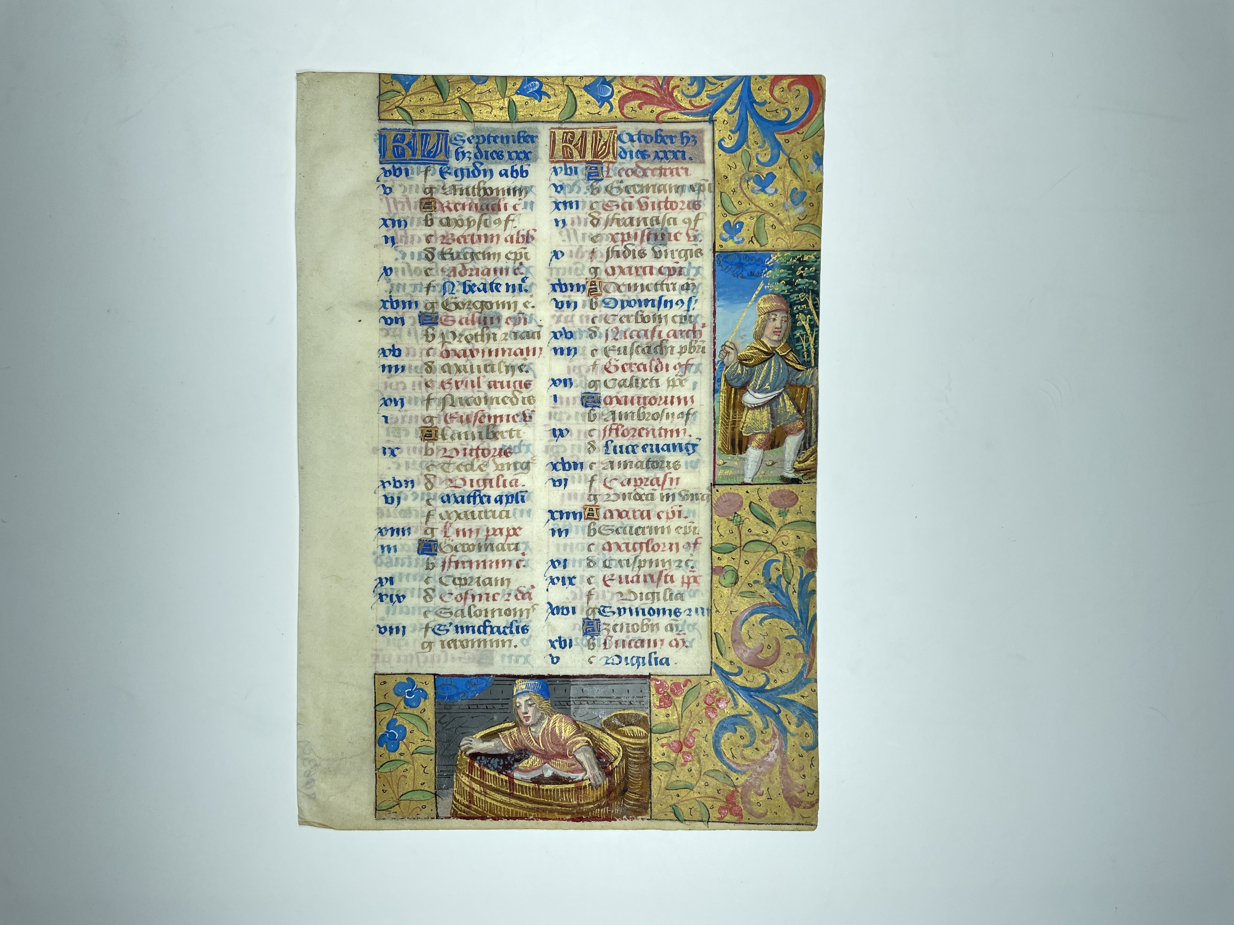 14th c MS leaf wine making 1