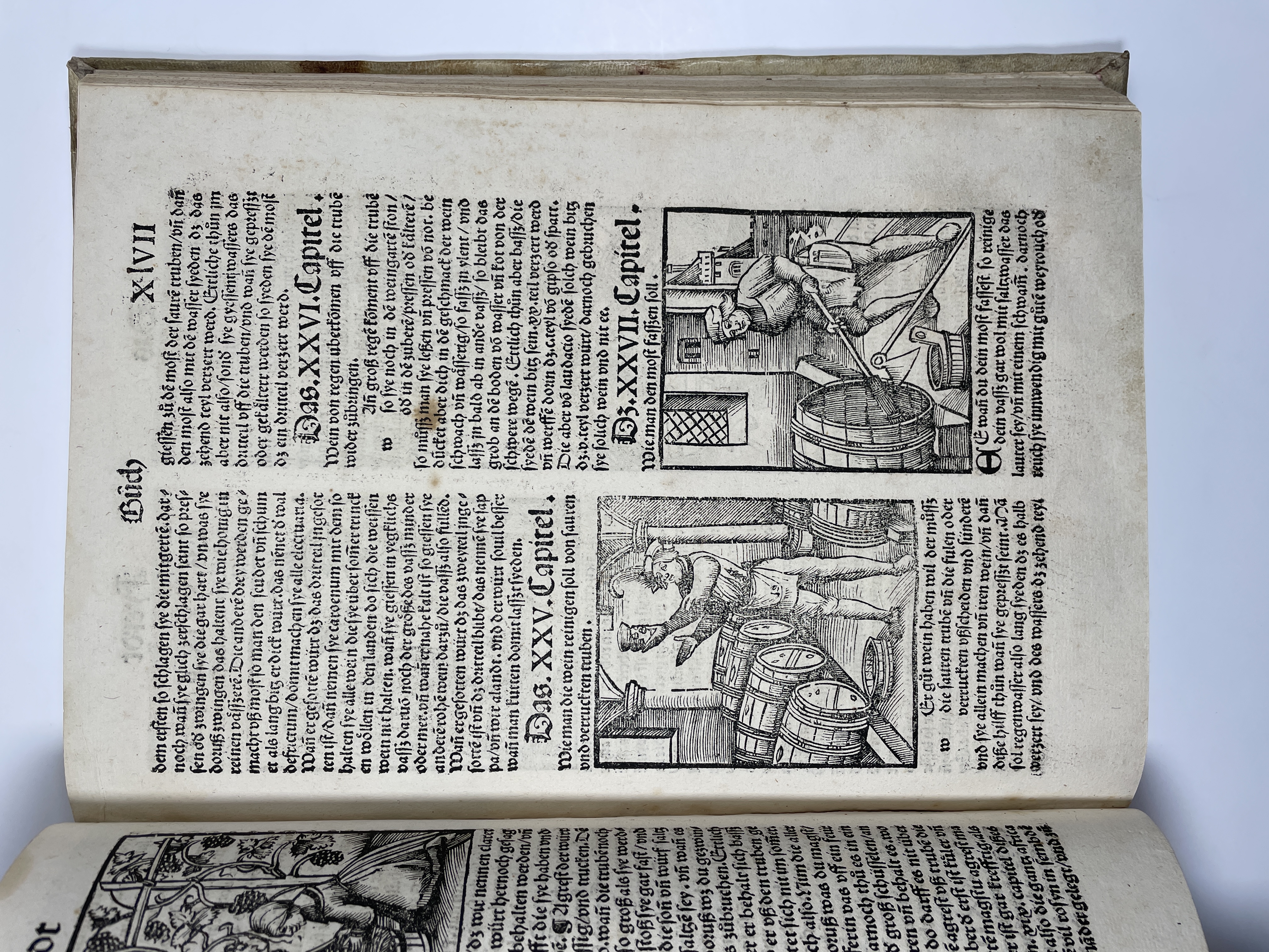 1518 Crescenzi Von dem nutz 1