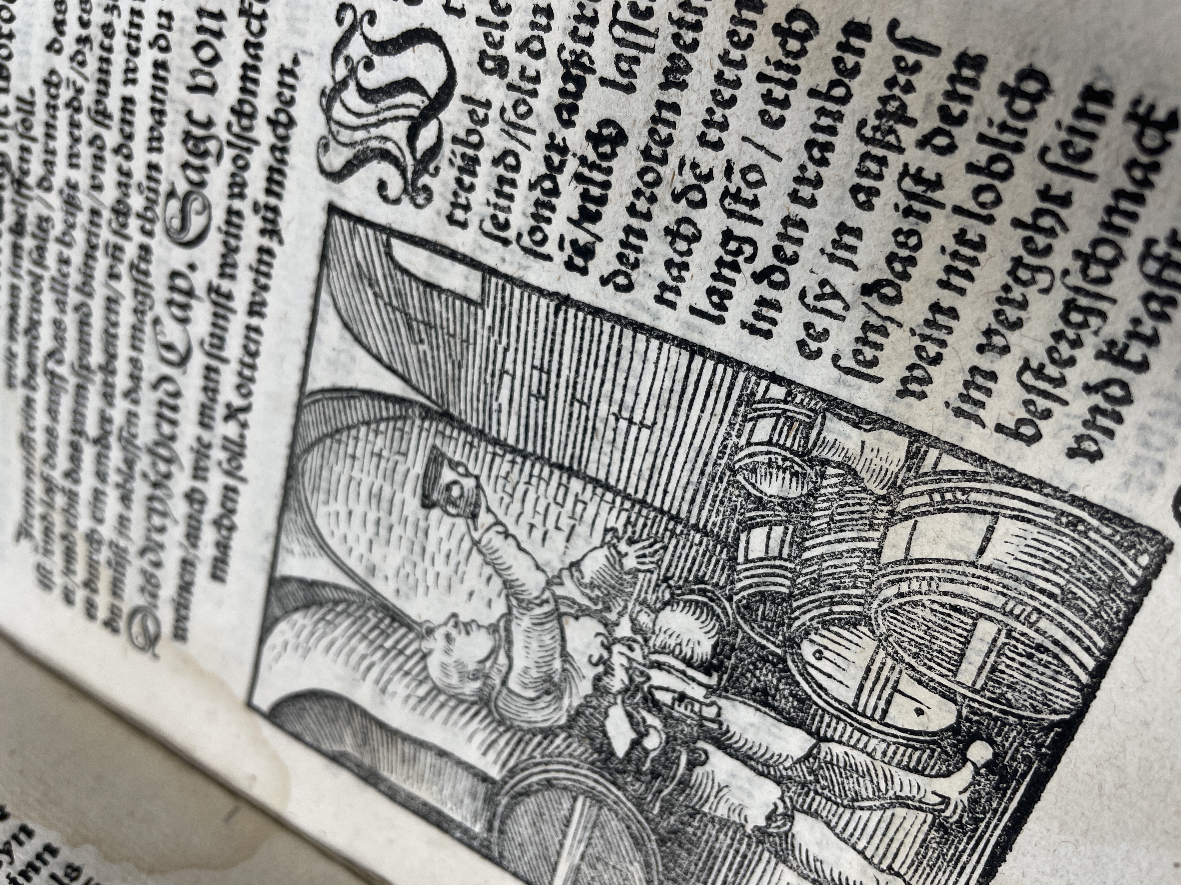 1542 Kellermeisterei 5