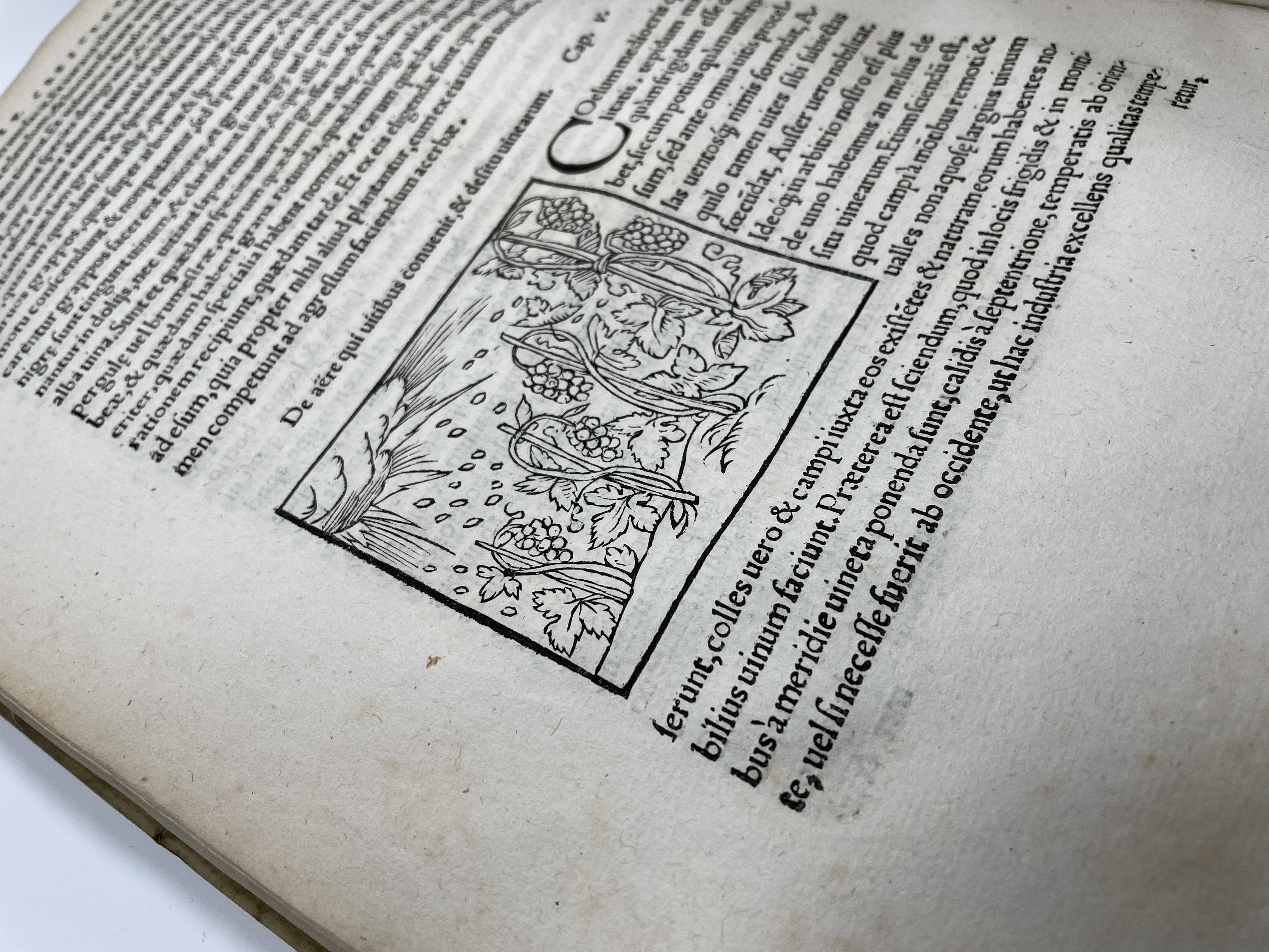 1548 Crescenzi De omnibus 4