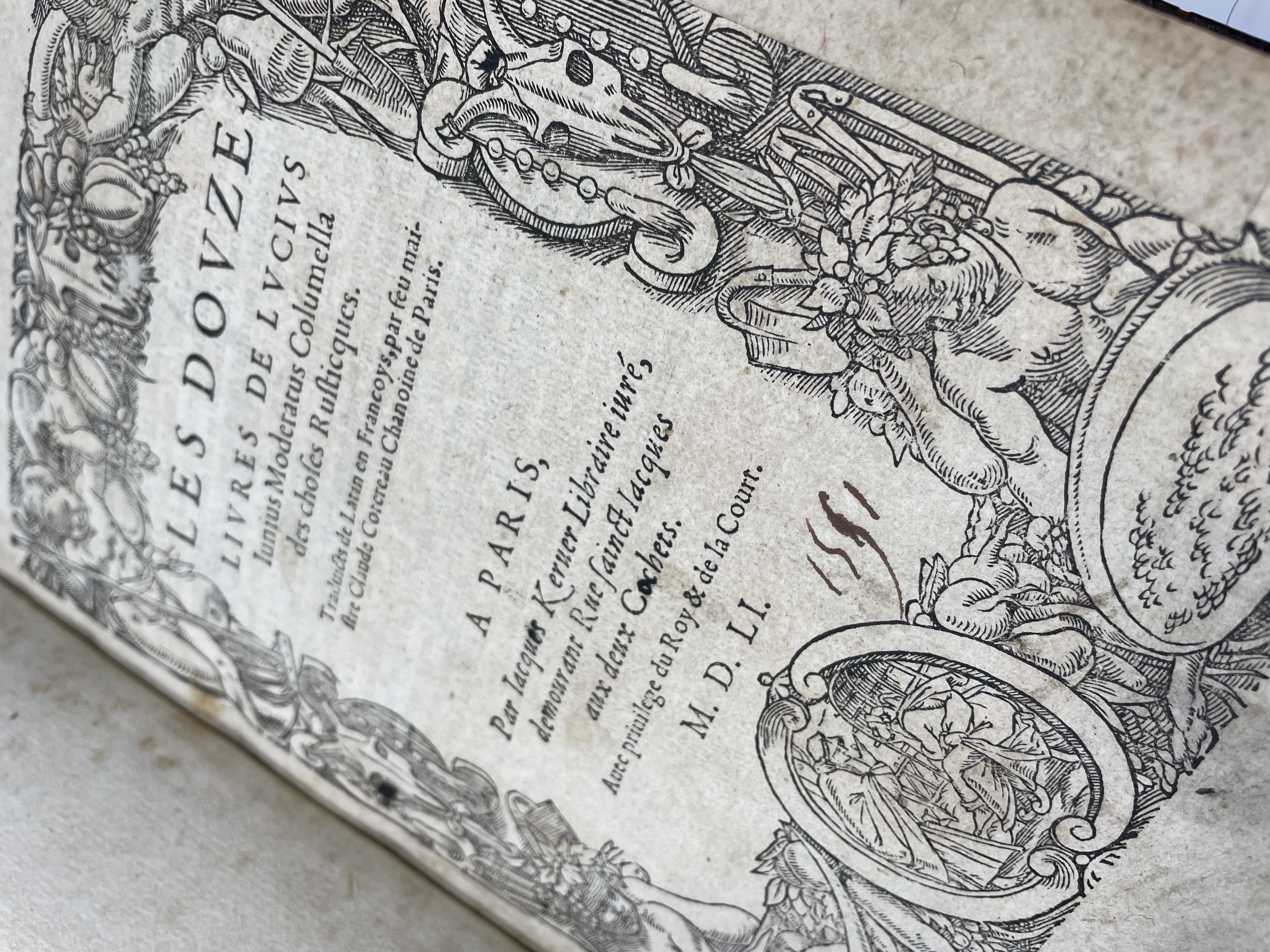 1551 Columella French 3