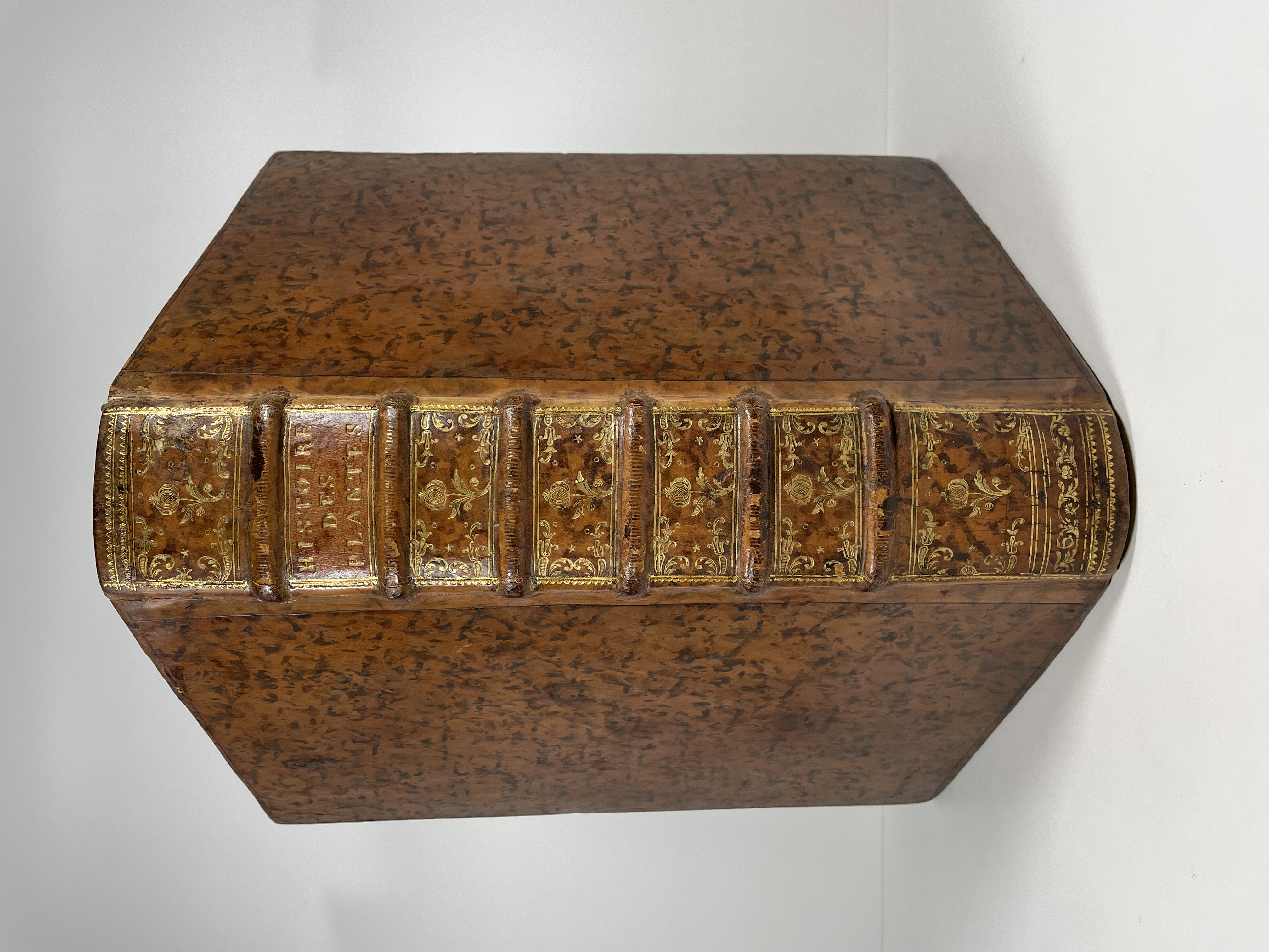 1715 Garidel Histoire des plantes 5