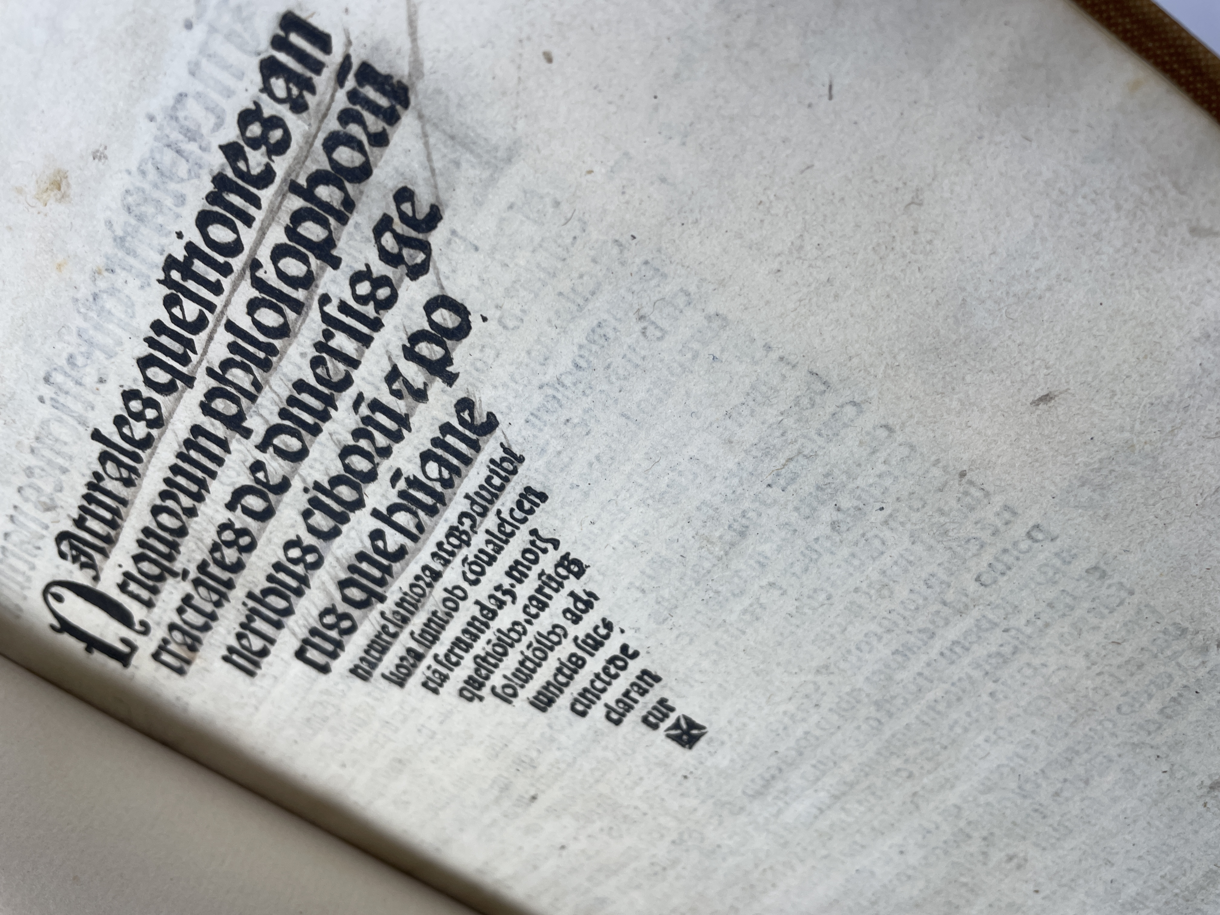 c.1509 Naturales questions 2